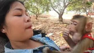 Mio Eating Louts fruit with mummy  eating asmr eating challenge eating disorder eating show food