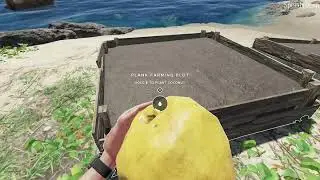 Growing Palms in Stranded Deep | Farmable Palm Mod