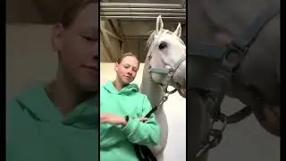 Me and Horse 😂