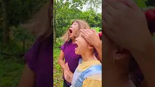 Kỹ năng sinh tồn: bà mẹ đơn thân với kỹ năng hái kẹo dâu trong rừng #survival #outdoors #skills