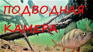 ЗИМНЯЯ РЫБАЛКА С ПОДВОДНОЙ КАМЕРОЙ