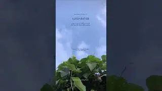 Sureh Yunus Ayat 12 #trending #shortvideos #like #subscribe #trendingvideo #trendingshorts