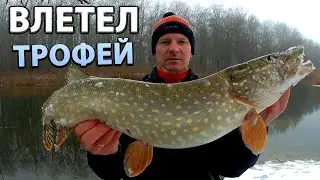 Winter jig. Fishing for pike on the river. Thaw fishing
