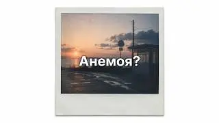 Что такое Анемоя?