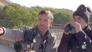 Un día en Wild Andalucía: aves y mucho más.