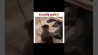 🤣🤣🤣