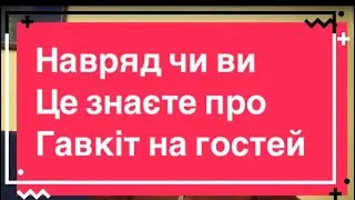 Гавкіт на дзвінок, як змінити це за 3 дні?