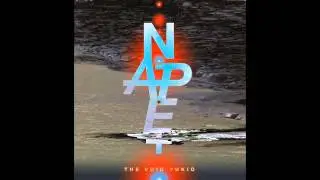 NAPE - Humid Geometry