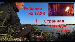 Рыбалка на платнике.Таук,Крым.