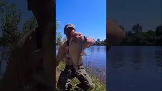 ЛЕЩ НА САЛО.