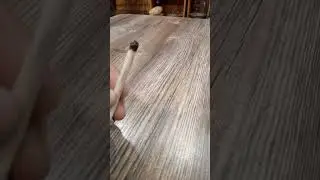 Дедовский метод от насморка