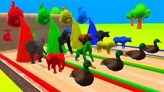 Fountain Crossing Animal Transformation | Gorilla Elephant Tiger Cow | wild animals #animalcrossing