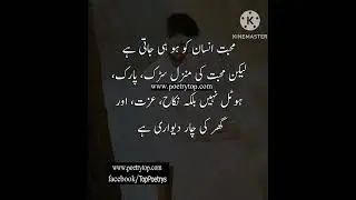 best qawwali Zareen#golden #status (3)