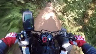 Riding Capitol Forest