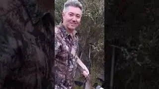 My closest deer shot with my 7mm Saum 'Long Range' rifle