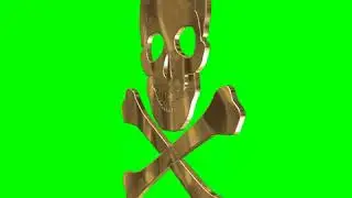 GREEN SCREEN SKULL GOLD SPINNING