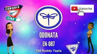Avance de la Especialidad de Odonata 👨💻