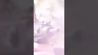 Silent Firearms 