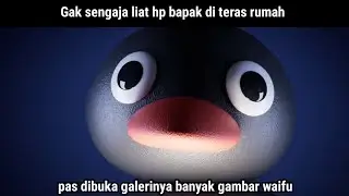 Kompilasi Meme Noot noot..