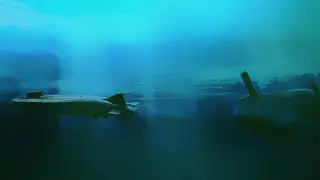 Cold Waters 