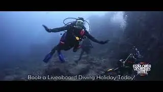 Adventures in liveaboard diving.