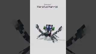 Peacock Spider - Few Blockbench Sprite Animations