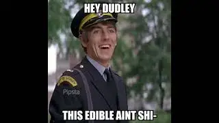 Hey Dudley this edible ain't shi-