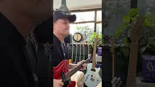 3 chord loop with the 61 ES330 on a sunny Sunday #guitar #danishpete