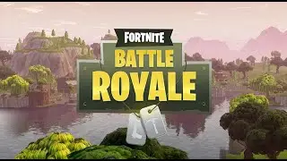 FORTNITE СТРИМ : ИГРАЮ СОЛО . КАЖДЫЕ ПЯТЬ ЛАЙКОВ ДМ !