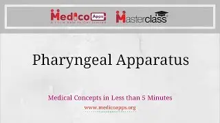 Pharyngeal Apparatus Derivatives