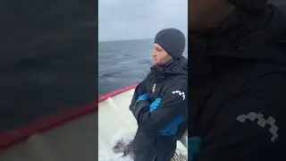 Мое море прошу у тебя сил, жизненной энергии, и душевного спокойствия. #моеморе #крабы #Норвегия