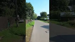 Я стал свидетелем, но пока не понятно чего...