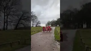 #teamclague Tatton Yule Yomp 2023