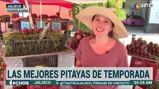 Temporada de pitayas en Jalisco