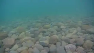 That Dad, daughter and mother do underwater 2018
