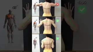 🔥Push-Ups for Chest vs. Triceps🔥