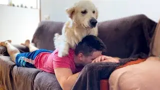 My wife wanted to give me a massage, but the dog decided to do it his own way!
