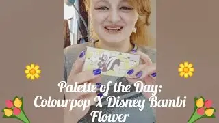 Palette of the Day: Colourpop X Disney Bambi Collection - Flower 5 Shade Palette May 2024 