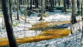 Александр Суханов - Апрель