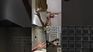 Pick Your Best? 😍 Tiktok Compilation 💘 Pinned your comment 📌#271 #shorts #dance #ytviral #ytshorts