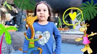 Гуляем по зоопарку веселая песня про жирафа