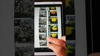 3D포토