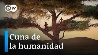 How did humankind originate? | DW Documentary