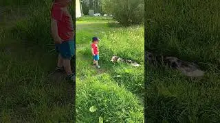 Малыш и Еня