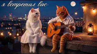 Я встретил вас... | Поют коты | Кошачий романс 🌙