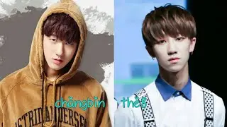 STRAY KIDS look so alike with other Idol