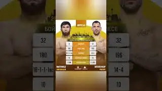 ⚔Магомед Анкалаев 🆚 Александр Ракич  |  UFC 308