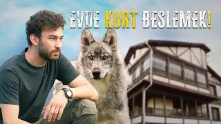 EVDE KURT BESLEMEK!
