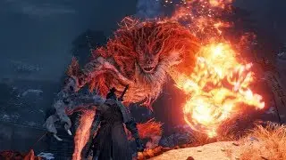 Sekiro: Shadows Die Twice - Demon of Hatred Boss Fight [PS4 Pro]