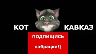 Кот Кавказ   Три в одном 12